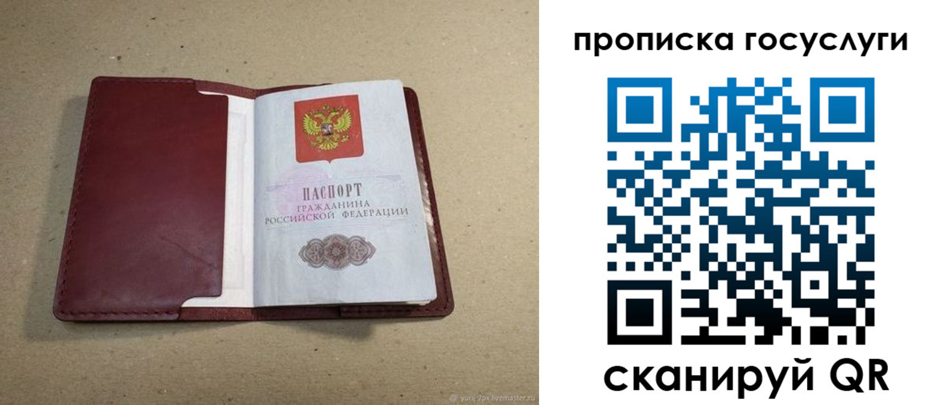 прописка поиск в Моршанске